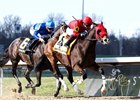 MERCANTE wins the 2025 Kentucky Cup Classic Stakes at Turfway Park