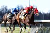 MERCANTE wins the 2025 Kentucky Cup Classic Stakes at Turfway Park