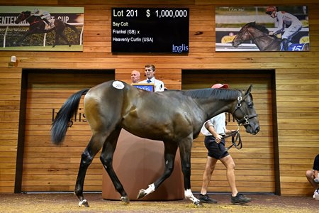 A colt by Frankel, cataloged as Lot 201, brings AU$1 million from John Stewart