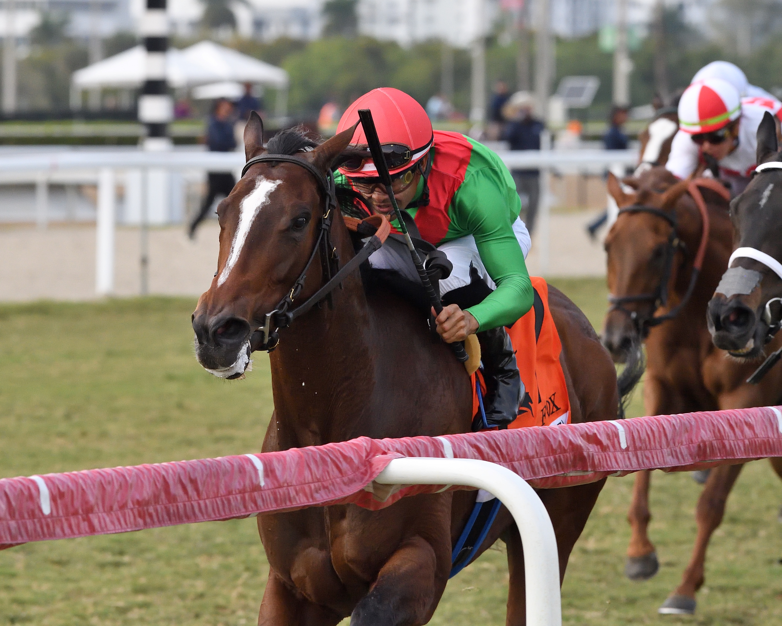 Gold Ship, Gentildonna Top Takarazuka Kinen - BloodHorse