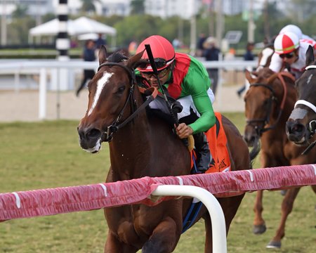 Special Wan wins the Honey Fox Stakes at Gulfstream Park
