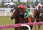 Special Wan wins the 2025 Honey Fox Stakes at Gulfstream Park