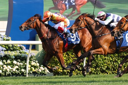 Cap Ferrat wins the Hong Kong Derby at Sha Tin Racecourse