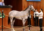 2025 OBS March 2 Year-Olds-in Training Sale, Hip 654