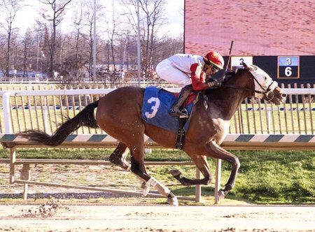 Omaha Omaha winning an allowance/optional claimer at Laurel Park in November