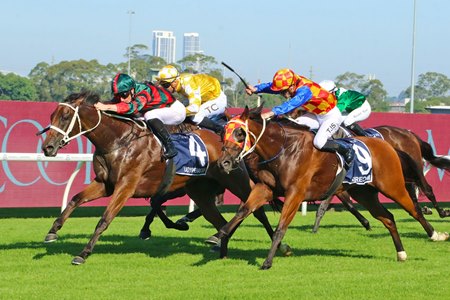 Lady Shenandoah wins the Çoolmore Classic at Rosehill Gardens