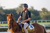 Nakatomi, Meydan Racecourse, March 26 2025