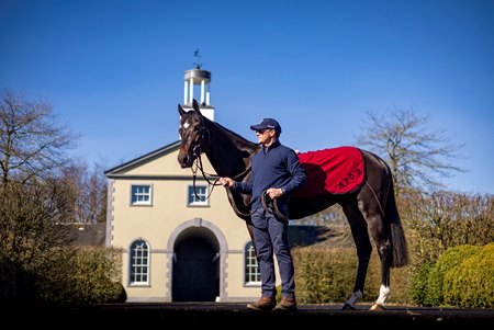 Aidan O’Brien and Expanded