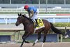 Immensitude (FR) - The Very One Stakes - GP - 030125
