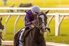 3/22/2025  -  Tiztastic with Joel Rosario aboard wins the 112th running of the $1,000,000  Grade II Louisiana Derby at Fair Grounds.  Hodges Photography / Paula Tindall