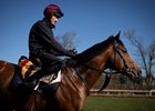 The Lion In Winter (Stephen Gray) on 2nd lot.
Ballydoyle.
Photo: Patrick McCann/Racing Post
24.03.2025