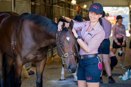 The Zoustar filly consigned as Lot 255 at the Magic Millions Adelaide Yearling Sale