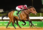 Forever Young wins the 2025 Saudi Cup at King Abdulaziz Racetrack