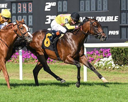 Zulu Kingdom wins the Columbia Stakes at Tampa Bay Downs