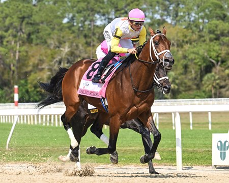 Skippylongstocking captures the Challenger Stakes for the third consecutive time at Tampa Bay Downs
