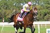 SKIPPYLONGSTOCKING wins the 2025 Michelob Ultra Challenger Stakes at Tampa Bay Downs