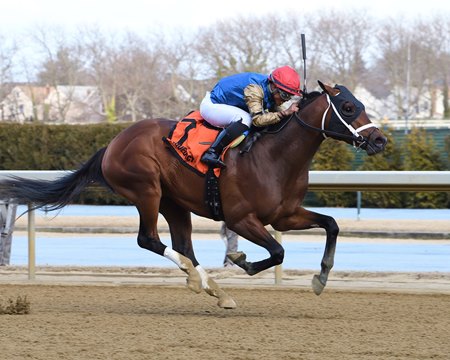 Flood Zone wins the Gotham Stakes at Aqueduct Racetrack