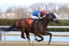 Flood Zone wins the 2025 Gotham Stakes at Aqueduct Racetrack