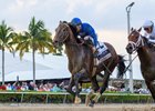 Sovereignty wins the 2025 Fountain of Youth Stakes at Gulfstream Park