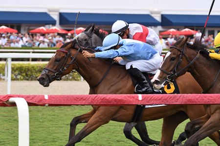 Beach Bomb wins the Orchid Stakes at Gulfstream Park