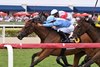 Beach Bomb wins the 2025 Orchid Stakes at Gulfstream Park