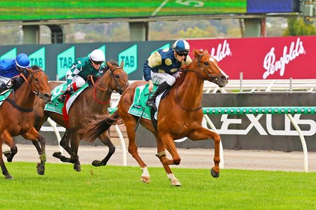Racing at Flemington Racecourse in Australia