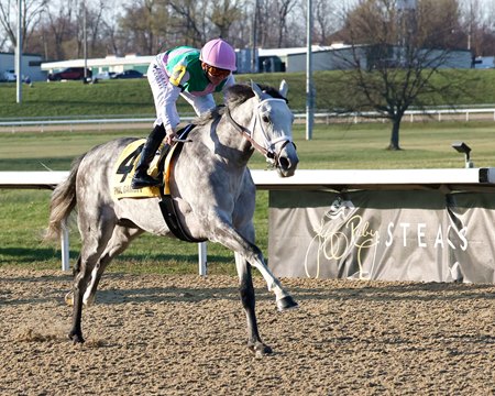 Final Gambit wins the 2025 Jeff Ruby Steaks at Turfway Park