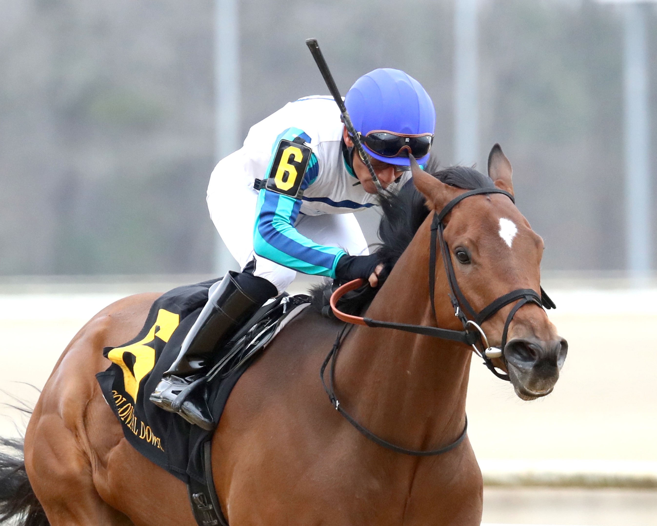 Book'em Danno Kicks Off 2025 Season With Colonial Win - BloodHorse