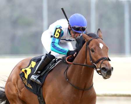 Book'em Danno wins the Boston Handicap at Colonial Downs