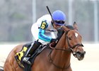 BOOK&#39;EM DANNO - The Boston Handicap -CNL -  031425