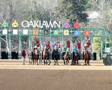 Red Route One Red Route One - Horse Profile - BloodHorse