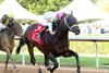 Bishops Bay wins the 2025 American Pharoah Overnight Stakes at Oaklawn Park