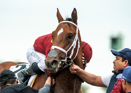 Jockey Umberto Rispoli hugs Journalism after winning the San Felipe Stakes at Santa Anita Park