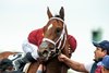 The Michael McCarthy-trained Journalism and jockey Umberto Rispoli win the Grade II $300,000 DK Horse San Felipe Stakes Saturday, March 1, 2025 at Santa Anita Park, Arcadia, CA.
Benoit Photo