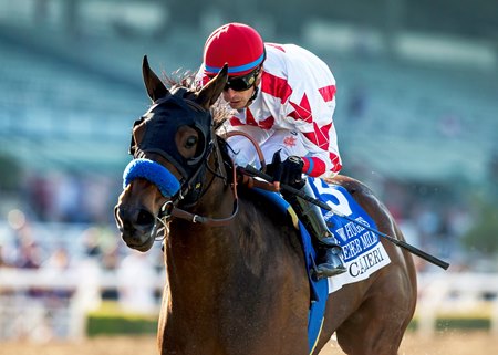 Cavalieri wins the 2025 Beholder Mile Stakes at Santa Anita Park
