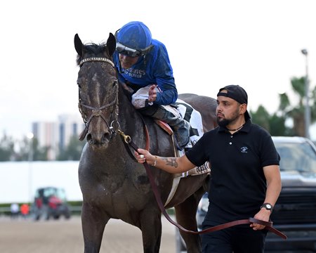 Sovereignty following his win in the Fountain of Youth Stakes at Gulfstream Park