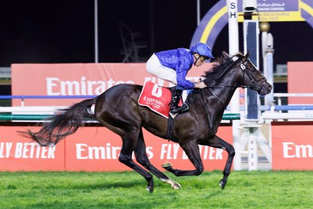 Ruling Court wins the Jumeirah Two Thousand Guineas at Meydan Racecourse