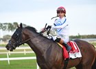 Owen Almighty wins the 2025 Tampa Bay Derby at Tampa Bay Downs