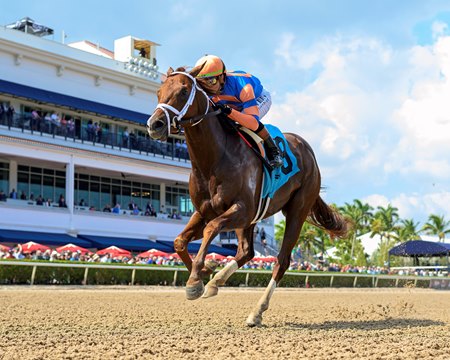 Disruptor breaks his maiden at Gulfstream Park