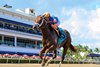 Disruptor, Maiden Win, Gulfstream Park, March 1 2025