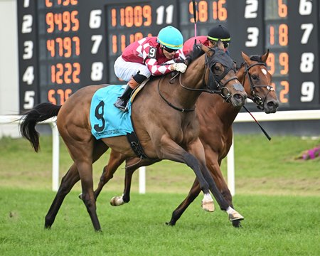 Lush Lips (inside) finishes second to Nitrogen in the Florida Oaks at Tampa Bay Downs