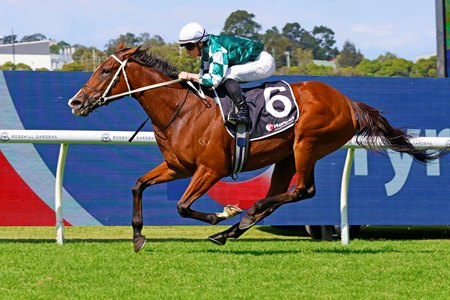 Via Sistina wins the Ranvet Stakes at Rosehill Gardens