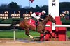 THORPEDO ANNA wins the 2025 Azeri Stakes at Oaklawn Park