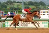 Journalism wins the San Felipe Stakes at Santa Anita Park