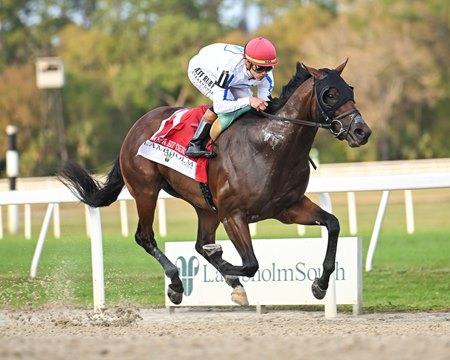 Owen Almighty wins the Tampa Bay Derby at Tampa Bay Downs