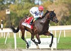 Owen Almighty wins the 2025 Tampa Bay Derby at Tampa Bay Downs