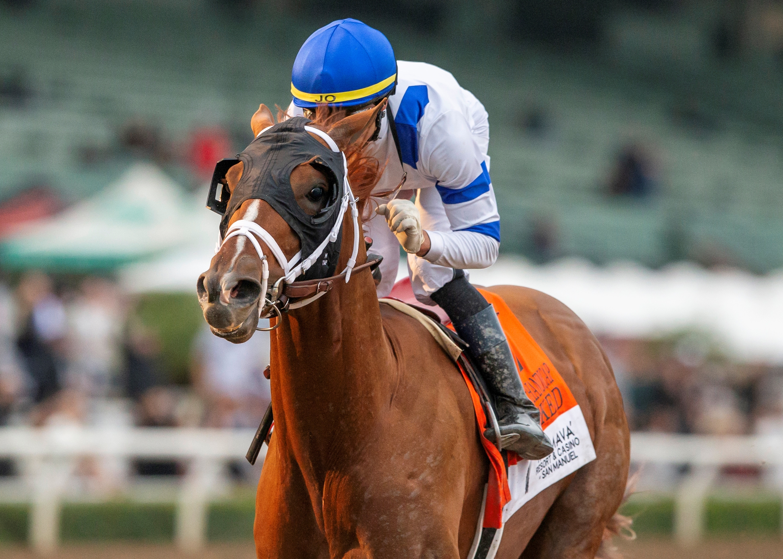 Grade 1 Winner Locked Headed to Woodward - BloodHorse