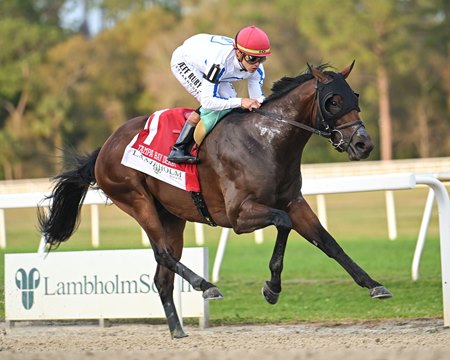 Owen Almighty wins the Tampa Bay Derby at Tampa Bay Downs