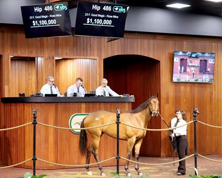 The Good Magic filly consigned as Hip 486 in the ring at the OBS March Sale