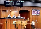 2025 OBS March 2 Year-Olds-in Training Sale, Hip 486